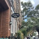 파인힐즈 | 시드니 2일차 | 싱글오 서리힐즈, 패디스 마켓, 어그 쇼핑, 베티스버거, 메시나 젤라또