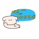 비가오면 그대로 다 맞고 싶어 애쓰지 않더라도 행복하고 싶어