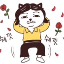 노라보까 이미지