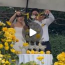 뜰에가득flower
