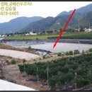 반곡리보건진료소 이미지