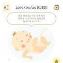 포도맘 이미지