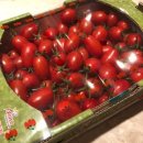 토마토기공소 이미지