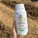 인산농장 | 주말농장 뿌리활착 필수템 클린그로 세레스 후기 유기농 토양개선 영양제 추천