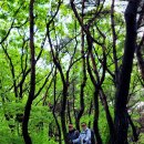 5월29일 (금) 청계산 옥박골~청계사 이미지