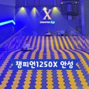 (주)휠라인 안성지점 | [경기] 챔피언 1250X 스타필드 안성점 키즈카페 초등아이와 갈만한곳 추천