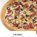 파파존스수지성복 이미지