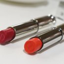 핑크로즈553 이미지