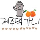 스시러브 이미지
