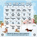 해뜨는댕 이미지