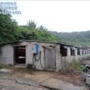 용흥리축사 이미지