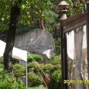 생태다리 이미지