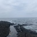 명진 발전소 네이버블로그