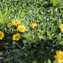 브니엘하우스 이미지