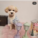 몽구리DOG 이미지