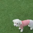 486독캠프 네이버블로그