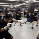 팀와이에프 이미지