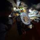 오토오아시스 롯데마트거제점 | 거제 학동자동차야영장 오토사이트 F11번 후기(feat. 동부저수지 오리배)