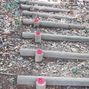 등대쉼터 이미지