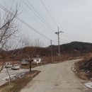 청양군비봉면용천보건진료소 | 2016 타경 3838 .충청남도 청양군 비봉면 양사리 잡종지 경매