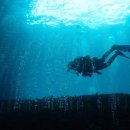 울릉다이버리조트 이미지