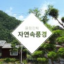자연속풍경민박 이미지