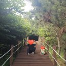 비양도 민박 이미지