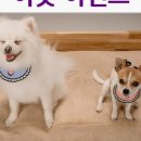 구름바람 이미지