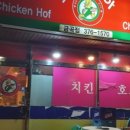 꼬꼬리아 이미지