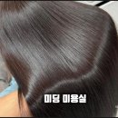 커트와염색