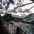 중매목장 네이버블로그