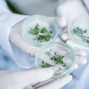 ㈜웰빙환경 이미지