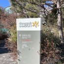 동국대 학식 상록원 불닭철판볶음밥 후기 (외부인 출입 가능)