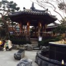 개in샵(개in#) 이미지