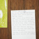 제로웨이스트 코바늘 손뜨개 | 양말목 식물 만들기: 플리마켓, 주문제작, 신작 연구 등등••• 밀린 기록들