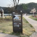 율곡천 4 이미지