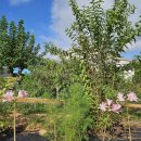 무성 건축사 사무소 이미지