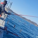 포항시남구장기면양포보건진료소 이미지