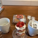 네츄럴파크리조트 | 안토리조트 2박3일 후기(구 파라스파라)｜숲속에서 보낸 힐링 호캉스 🌿