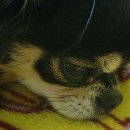 빨리와