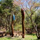 준행목장2 | 20210407-08금정산장군평전에서의 하룻밤