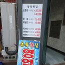 동북식당 | 🌊 묵호항 물회 맛집 추천! 동북횟집 솔직 후기 | 라벤더 축제 후 꼭 들러야 할 곳