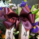 (주)코스마 이미지