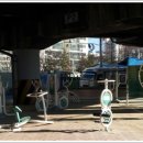 서대전육교밑 이미지