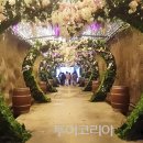 와인동굴 이미지