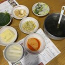 시흥 물왕저수지 오징어볶음 맛집 ‘조가네 갑오징어’ 후기