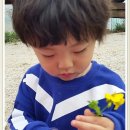 늘푸른어린이집 이미지