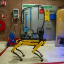 신기한 로봇,코딩A | [대전초코딩] 로봇 강아지가 게이지를 읽는 시대, 아이들은 무엇을 배워야 할까요?