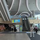 화랑빌딩 | 2025 화랑미술제 수원 관람 VIP 도슨트 프로그램 추천 작품 후기