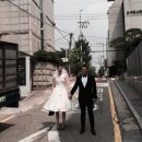 김새롬 카카오 검색결과